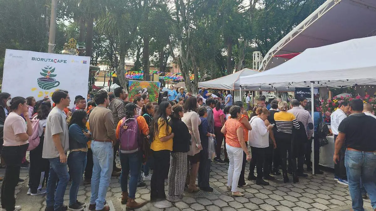 degustacion de cafe en Huauchinango1